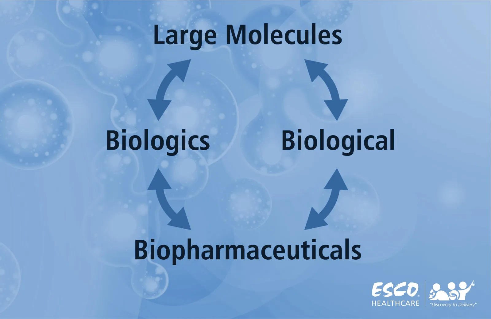 Interchangeable terms of Large Molecules, Biologics, Biological, and Biopharmaceutical