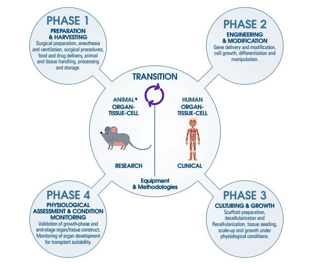 Gene Therapy Process