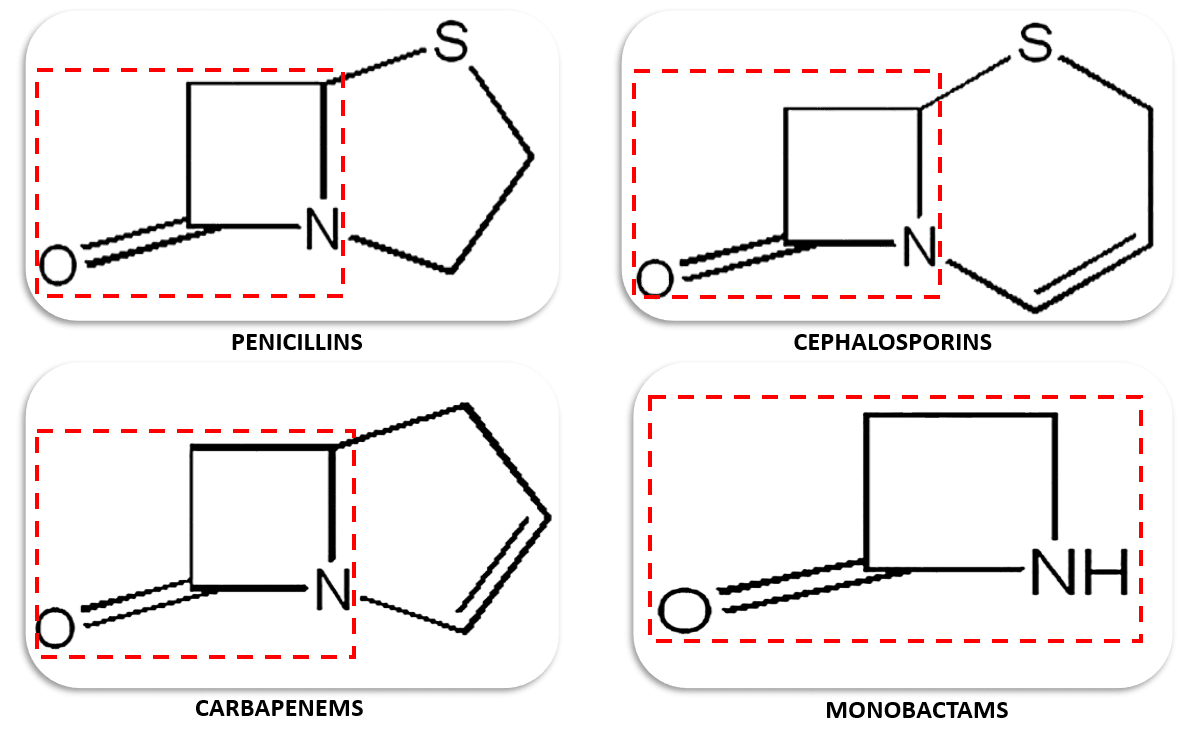 Draw a Simple Molecule (Penicillin) | Chemaxon Docs